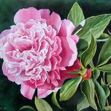 Схема вышивки «765558»