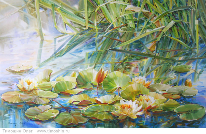 пруд - лилии, пейзаж, озеро, природа, пруд - оригинал