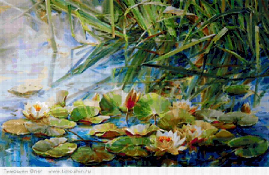 пруд - природа, пруд, лилии, пейзаж, озеро - предпросмотр