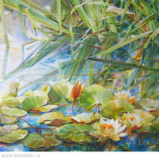 Схема вышивки «пруд»