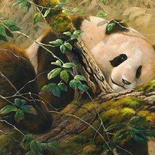 Схема вышивки «№316563»