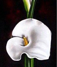 Схема вышивки «№316566»