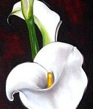 Схема вышивки «№316569»