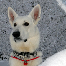 Схема вышивки «БШО  Стайл Стронг 2»