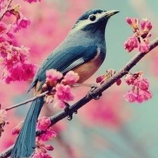 Схема вышивки «Весна»