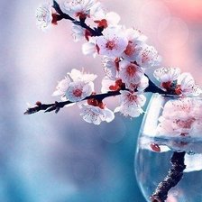 Схема вышивки «Сакура»