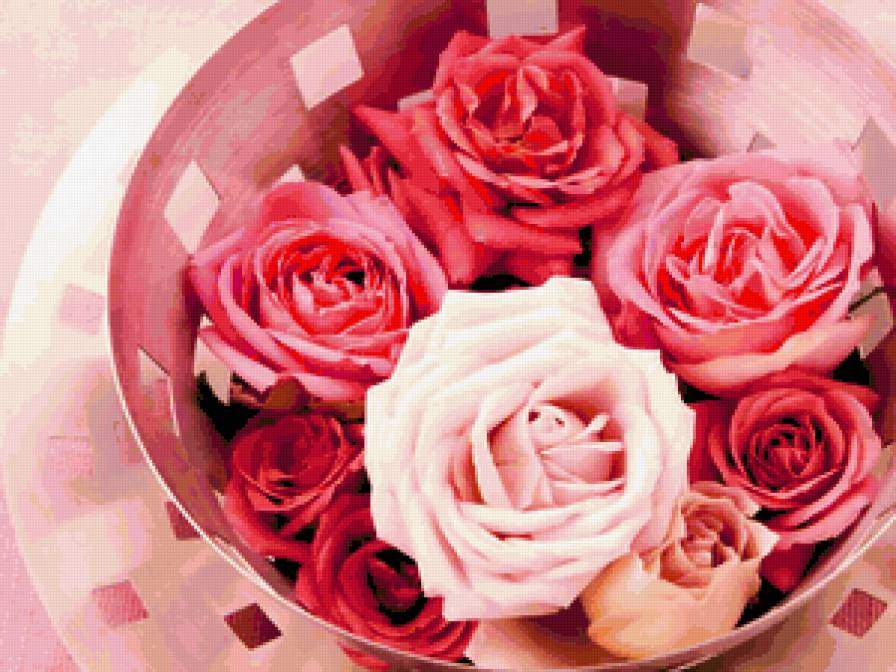 №316734 - предпросмотр