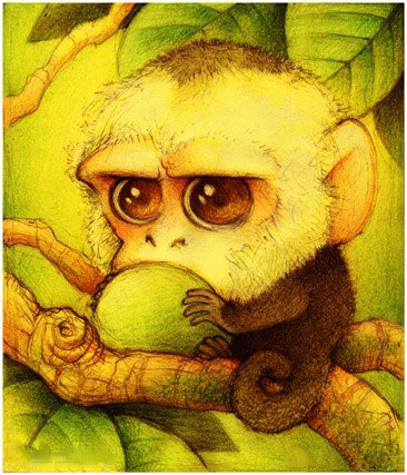 Обезьянка - животные, звери, обезьяна, милашка - оригинал