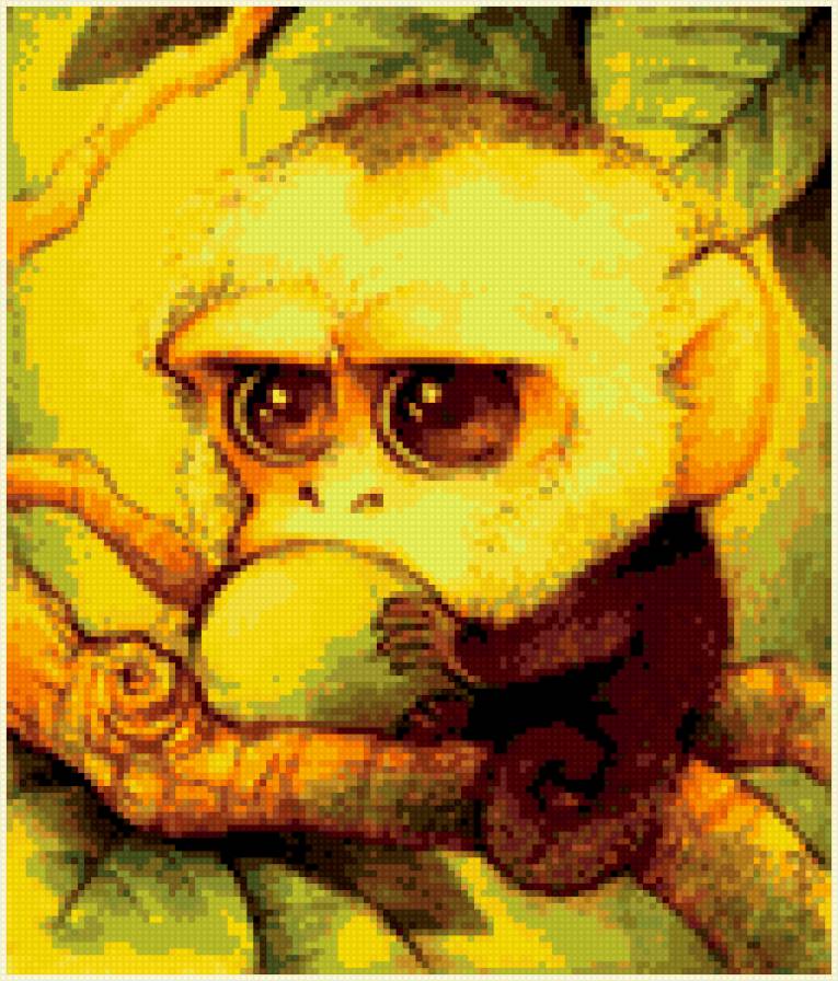 Обезьянка - обезьяна, животные, звери, милашка - предпросмотр