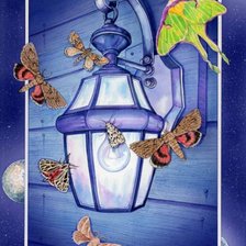 Схема вышивки «№316789»