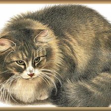 Схема вышивки «серия "кошки"»