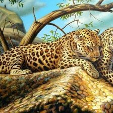 Схема вышивки «леопарды»