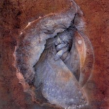 Схема вышивки «susan seddon boulet.»