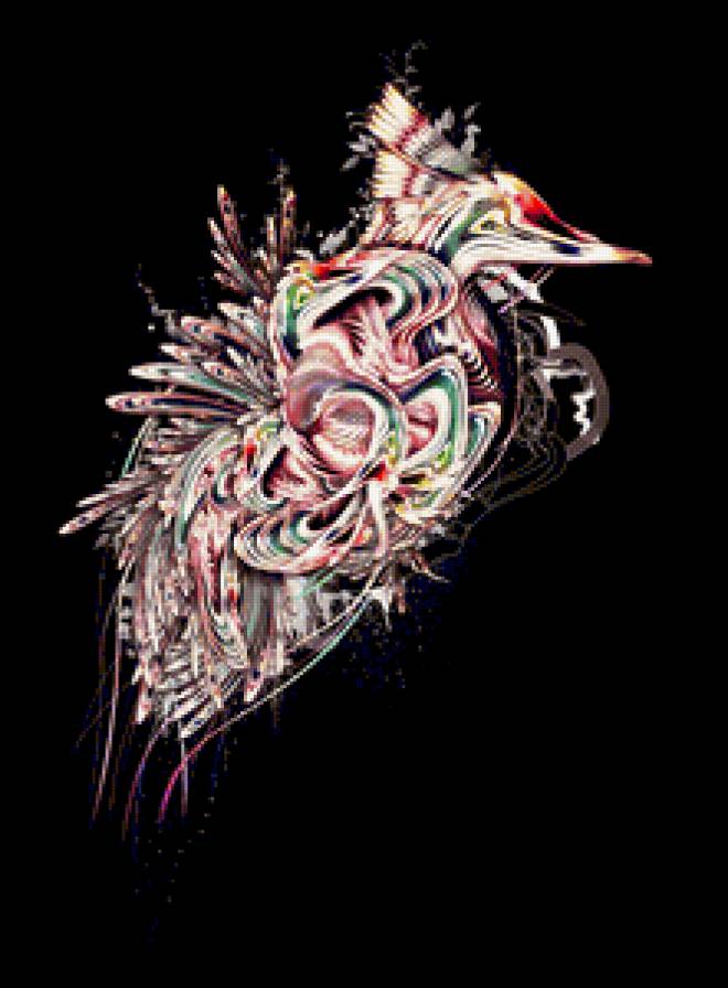 shinybinary nicholas ainley. - птицы, орнамент, фэнтези - предпросмотр