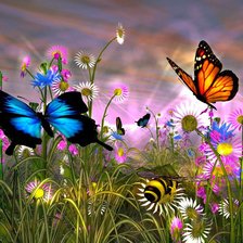 Схема вышивки «Бабочки»