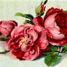 Схема вышивки «№317395»