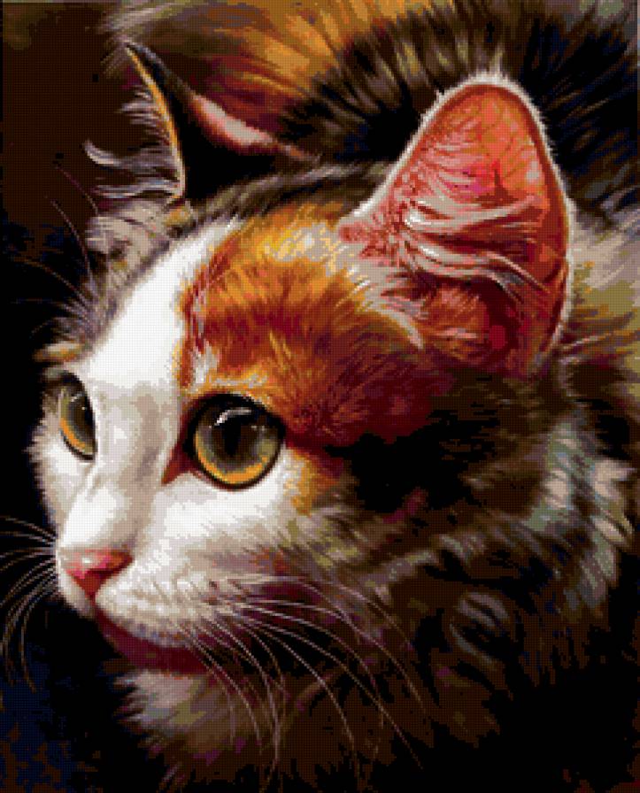 котя Майя - животные - предпросмотр