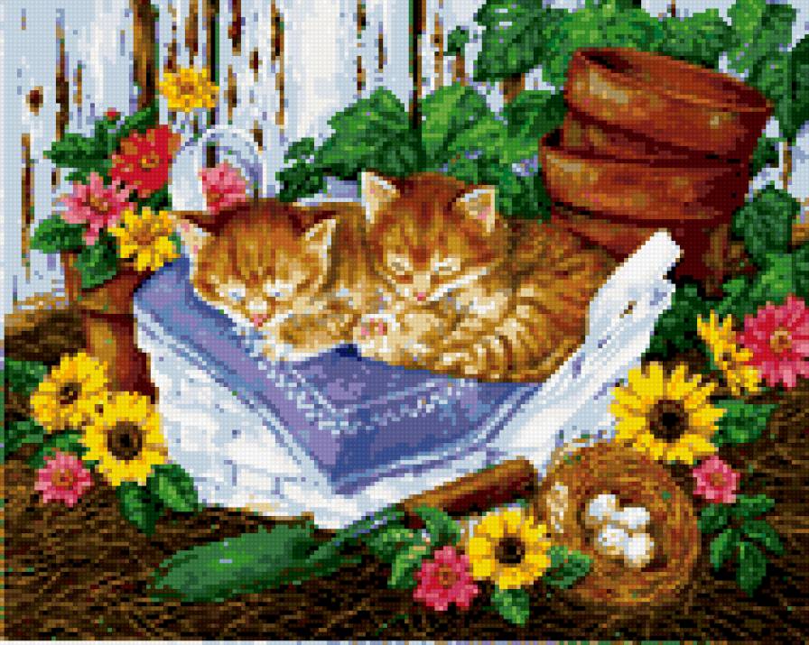 цветочки - кошки, цветы - предпросмотр