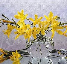 Схема вышивки «НАРЦЫС»