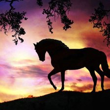 Схема вышивки «картина»