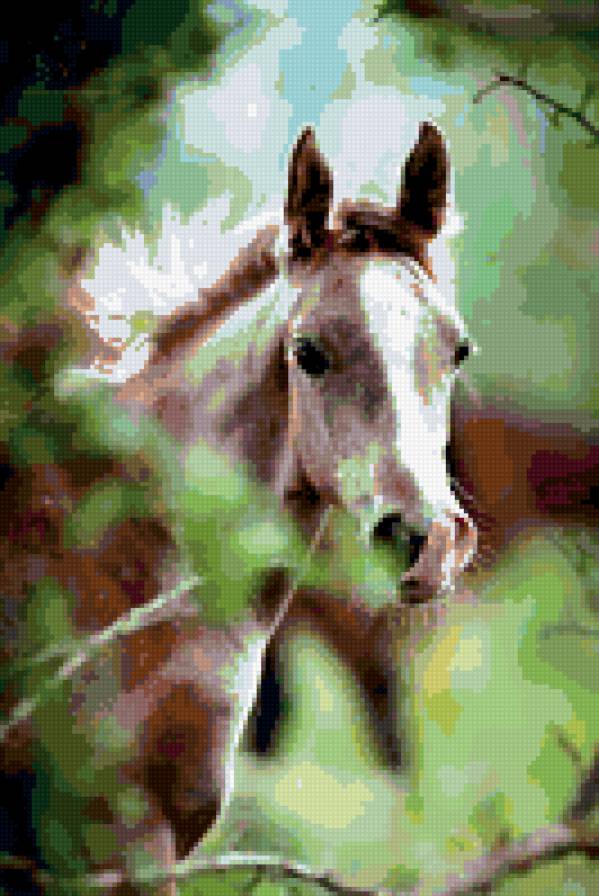 №317678 - лошади - предпросмотр