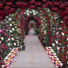 Схема вышивки «Аллея роз»