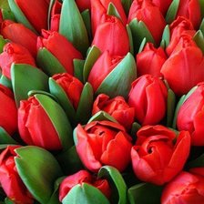 Схема вышивки «№317747»