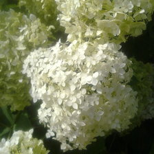 Схема вышивки «№317758»