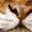 Предпросмотр схемы вышивки «тигр» (№317772)
