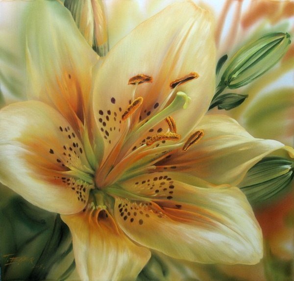 лилия - природа, цветы, цветок - оригинал