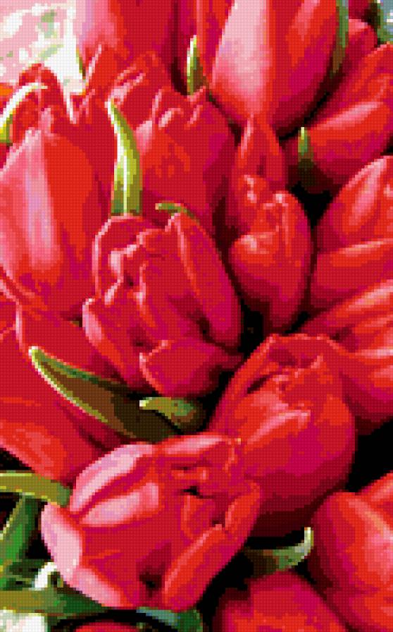 №317783 - цветы, букет, красный, тюльпаны, картина - предпросмотр