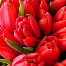 Схема вышивки «№317783»