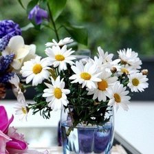 Схема вышивки «Ромашки»