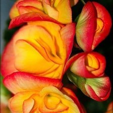 Схема вышивки «№317797»