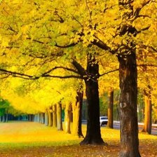 Схема вышивки «№317799»