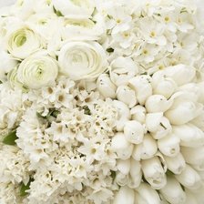 Схема вышивки «№317800»