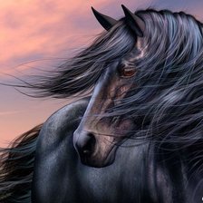 Схема вышивки «в мире животных»