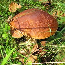 Схема вышивки «№317881»