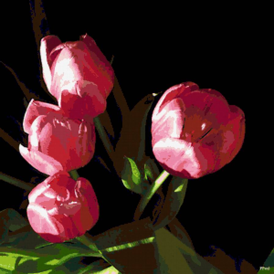 тюльпаны - букет, цветы, тюльпаны - предпросмотр