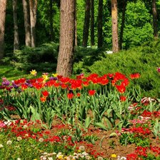 Схема вышивки «№317899»