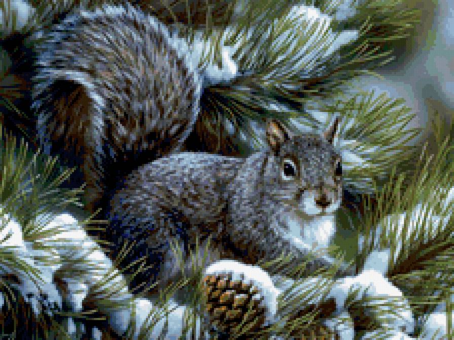 белочка - животные, детские, белка - предпросмотр