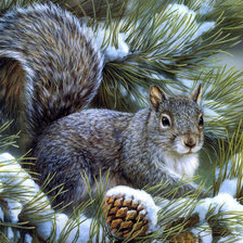 Схема вышивки «белочка»