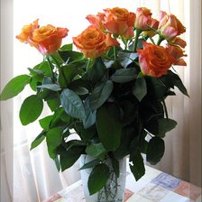 Схема вышивки «розы»