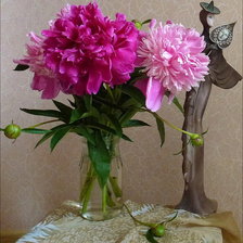 Схема вышивки «пионы»