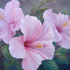 Схема вышивки «гибискус»