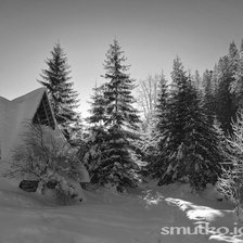 Схема вышивки «зима»