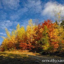 Схема вышивки «карпаты»