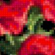 Предпросмотр схемы вышивки «Маки в рамке» (№318092)