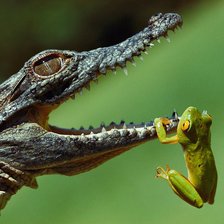 Схема вышивки «Лягушонок»