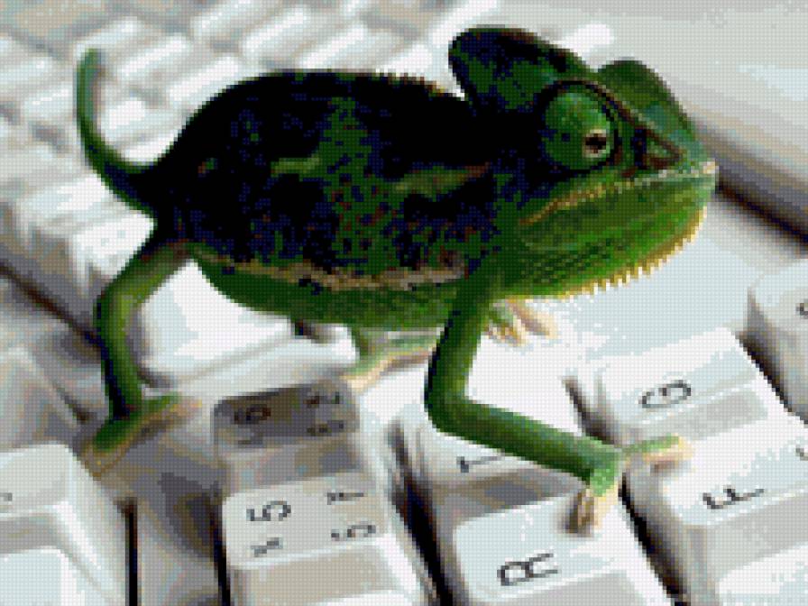 игуана - животные, ящерицы - предпросмотр